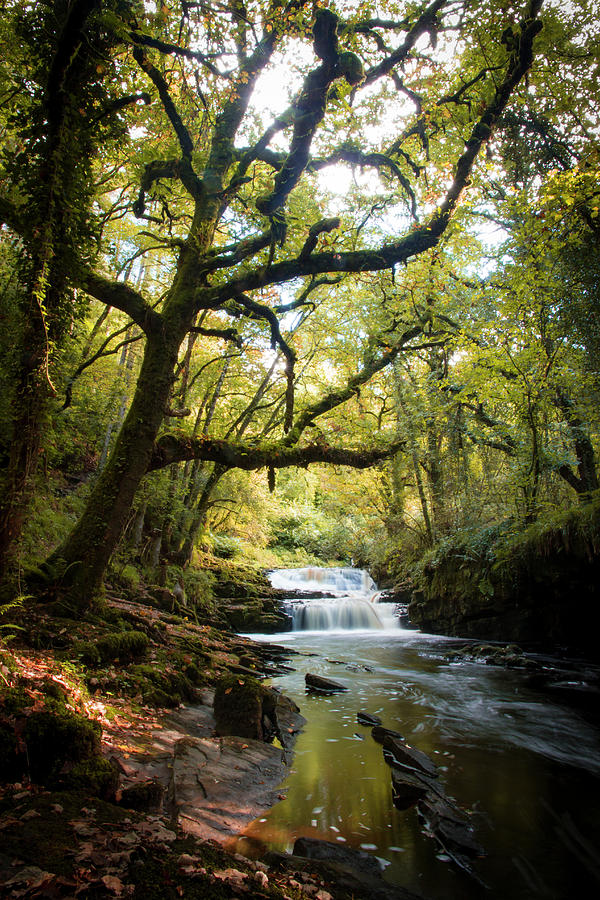 Clare Glens Waterfall #2 Photograph by Mark Callanan