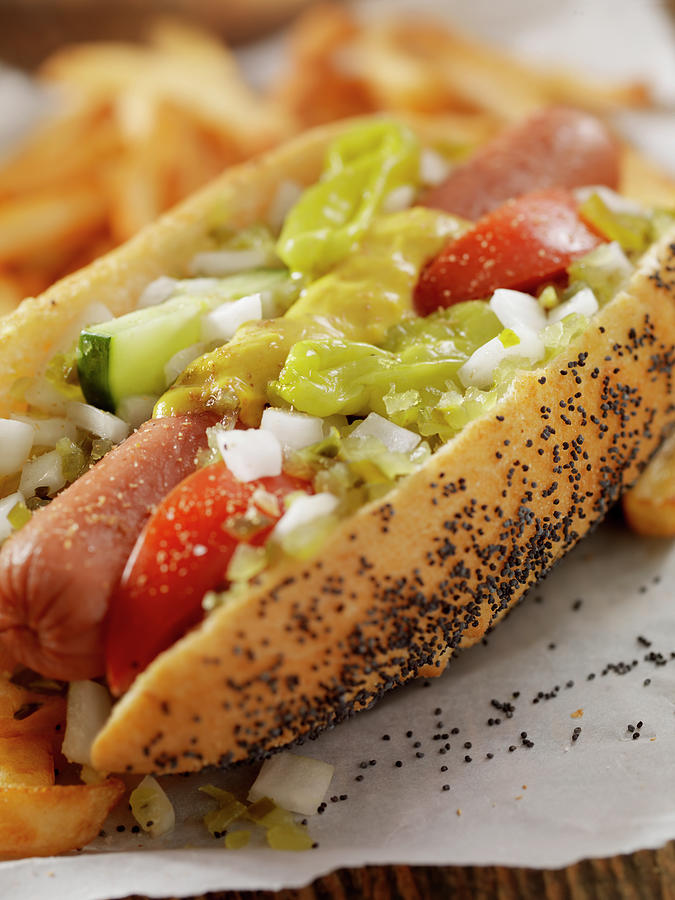 Classic Chicago Dog With Fries Photograph by Lauripatterson
