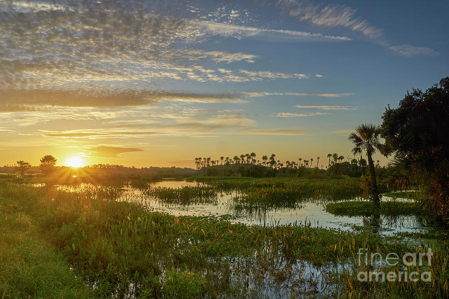 Classic Florida Sunrise Photograph by Brian Kamprath
