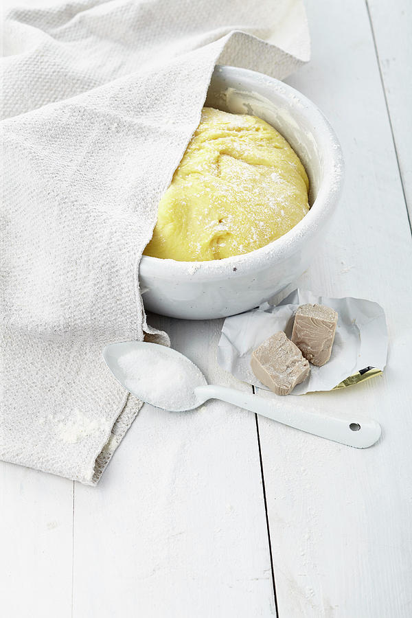 Classic Yeast Dough In A Mixing Bowl #1 Photograph by Stockfood Studios /  Ulrike Holsten