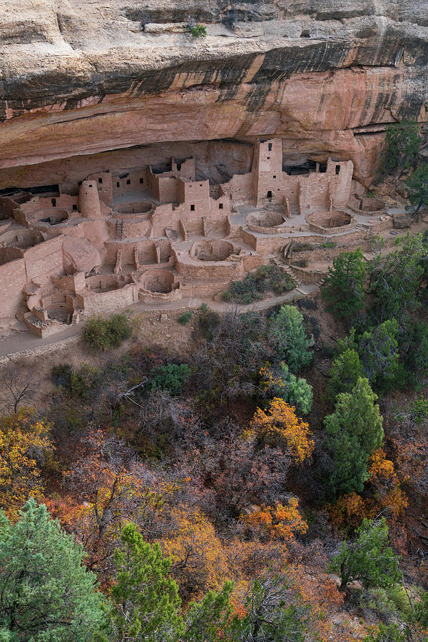 Cliff Palace, Mesa Verde National Park Unesco World #1 Photograph by Juan Carlos Munoz / Naturepl.com Cliff Palace, Mesa Verde National Park Unesco World #1 Photograph by Juan Carlos Munoz / Naturepl.com