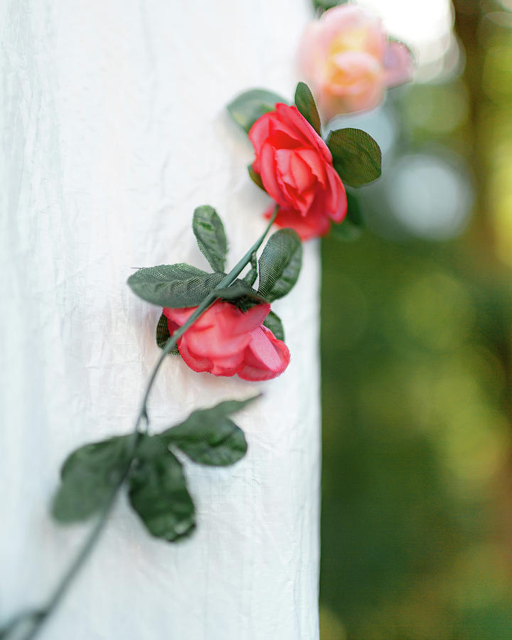 Climbing Flowers Right by Kolter Gunn Climbing Flowers Right by Kolter Gunn