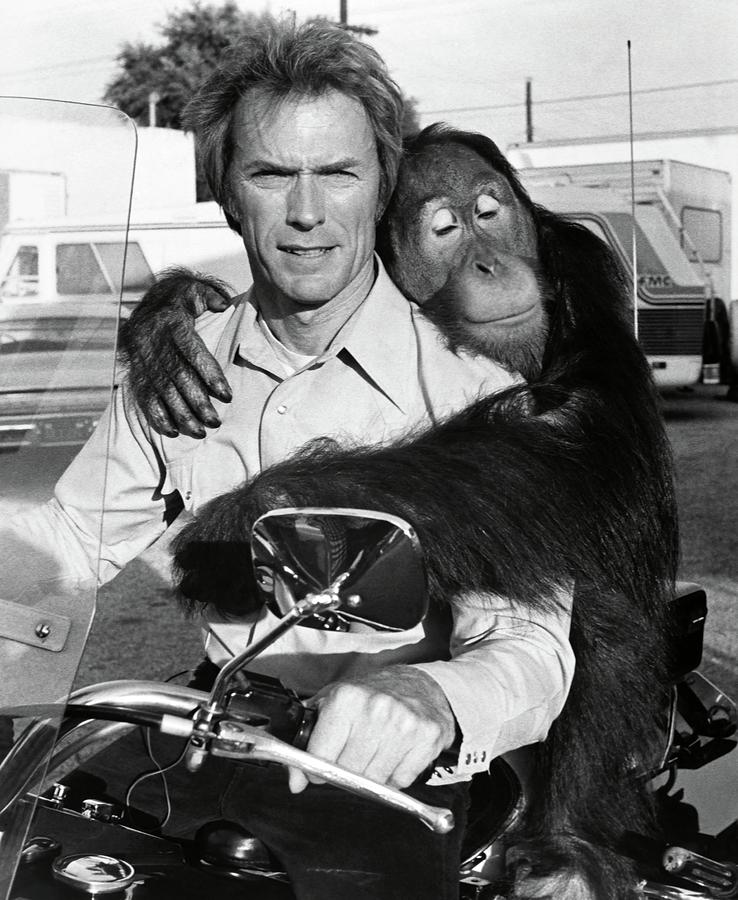 CLINT EASTWOOD in EVERY WHICH WAY BUT LOOSE -1978-. #1 Photograph by Album