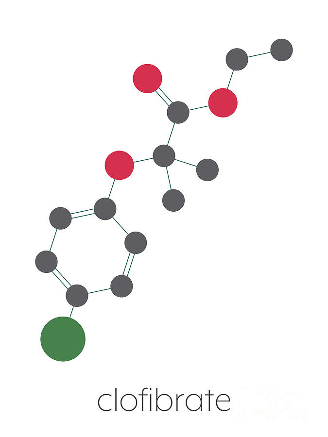 Clofibrate Hyperlipidemia Drug Molecule Photograph by Molekuul/science ...