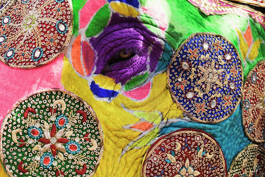 Close-up Of A Painted Elephant Photograph by Exotica.im Close-up Of A Painted Elephant Photograph by Exotica.im