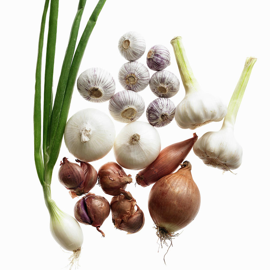 Still Life Digital Art - Close Up Of Garlic And Onion Bulbs #1 by Lisbeth Hjort