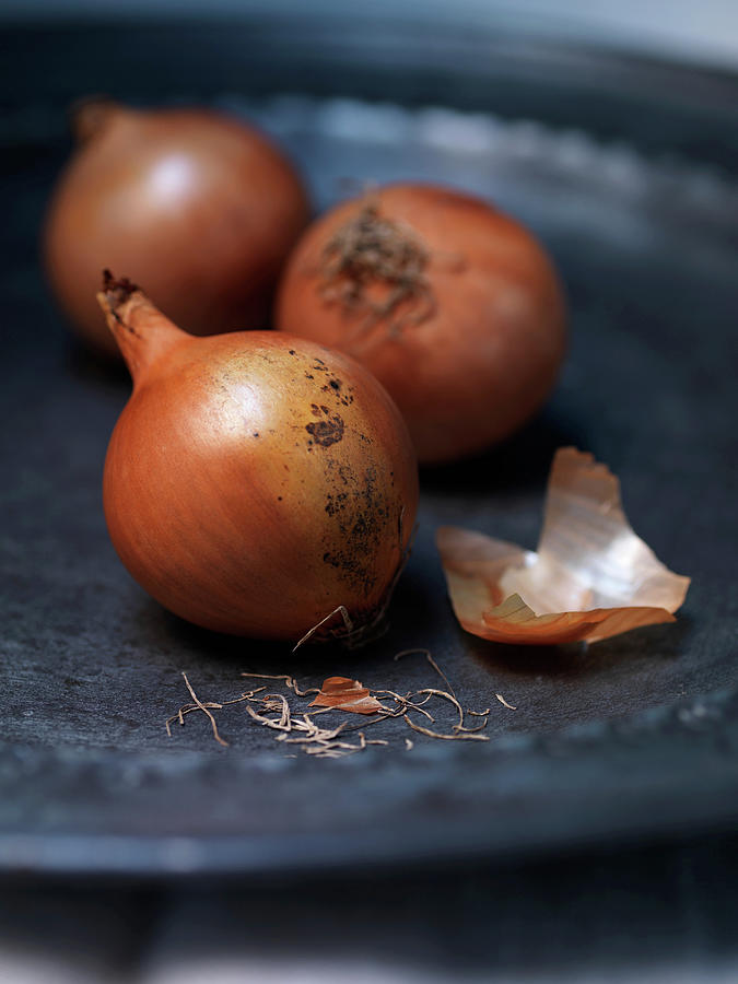 Still Life Digital Art - Close Up Of Plate Of Onions #1 by Diana Miller