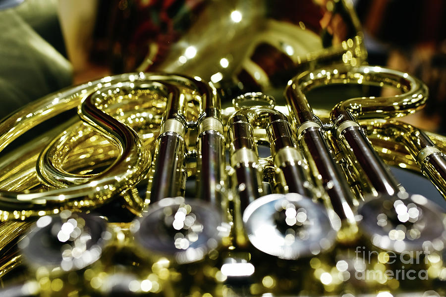 Close-up of the keys and valves of a French horn #2 Photograph by Joaquin Corbalan