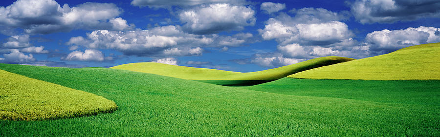 Clouds Over A Canola Field, Palouse #1 Photograph by Panoramic Images