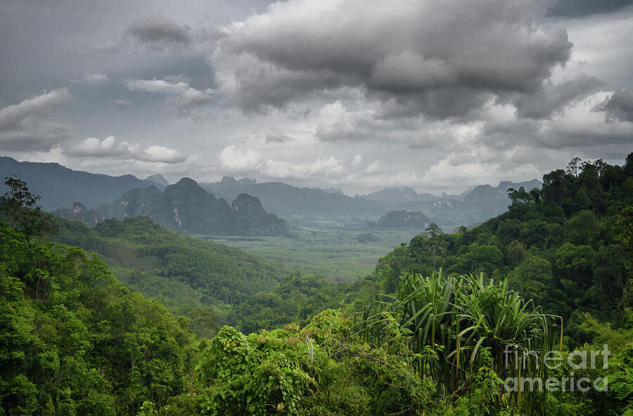 Clouds Over The Jungle #2 Photograph by Michelle Meenawong