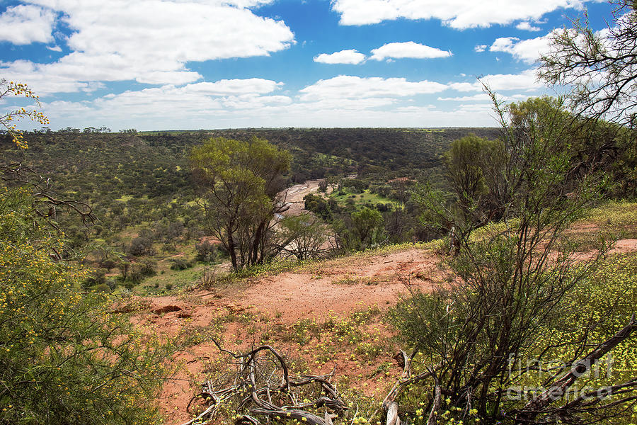 Coalseam Conservation Park, Nangetty, Western Australia by Elaine Teague Coalseam Conservation Park, Nangetty, Western Australia by Elaine Teague