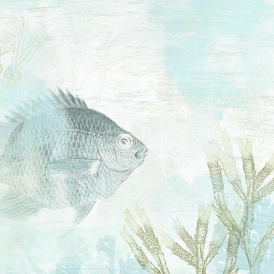 Fish Painting - Coastal Fresco I #1 by June Erica Vess