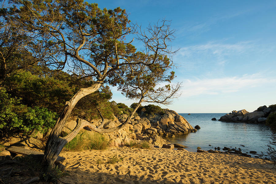 Coastal Landscape And Lonely Sandy Beach, Near Sartne, Corse-du-sud, Corsica, France #1 Photograph by Daniel Schoenen Fotografie