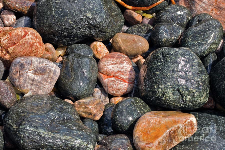 Coastal Rocks And Pebbles #1 Photograph by Dr Keith Wheeler/science Photo Library