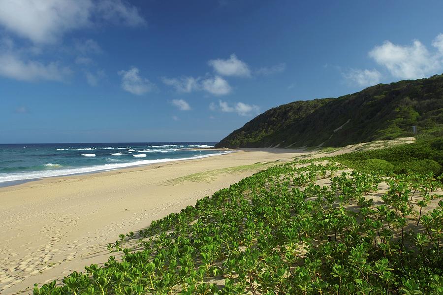 Coastal Scene. Mabibi. Thongaland Photograph by Roger De La Harpe - Pixels