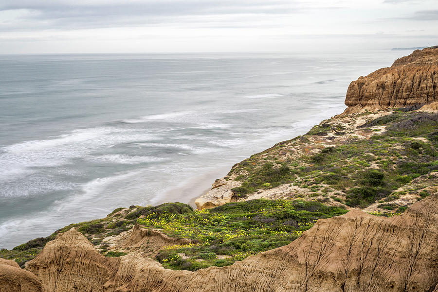 Flower Photograph - Coastal View At Torrey Pines State Natural Reserve. #1 by Cavan Images
