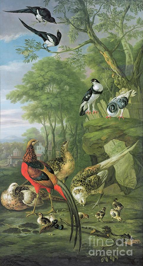 Cock Pheasant, Hen Pheasant And Chicks And Other Birds In A Classical Landscape Painting by Pieter Casteels