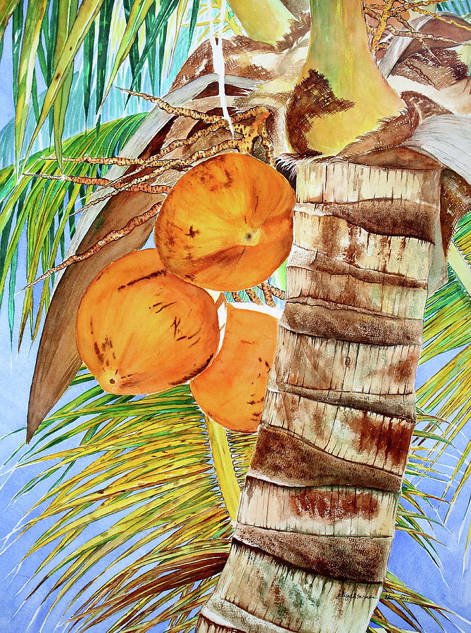 Fruit Painting - Coconut Tree IV #2 by Jelly Starnes