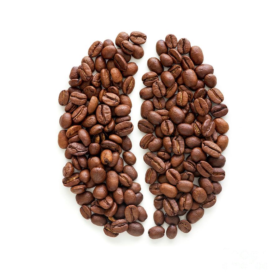 one coffee bean