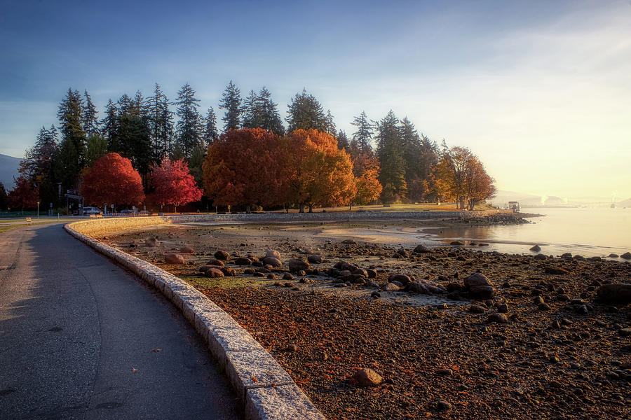 Colorful Autumn Foliage at Stanley Park #1 Photograph by Andy Konieczny