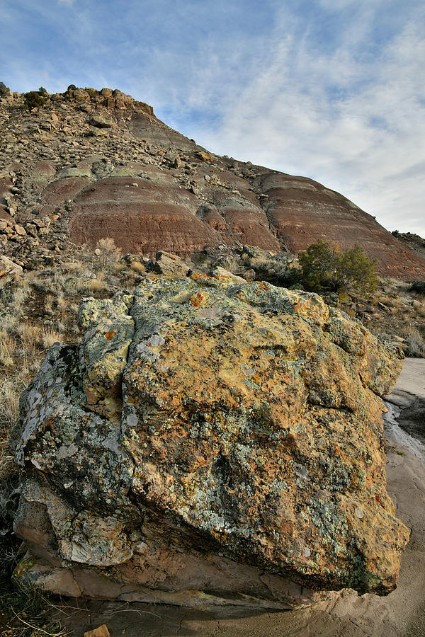 Colorful Boulder in Ruby Mountain Wash #1 Photograph by Ray Mathis