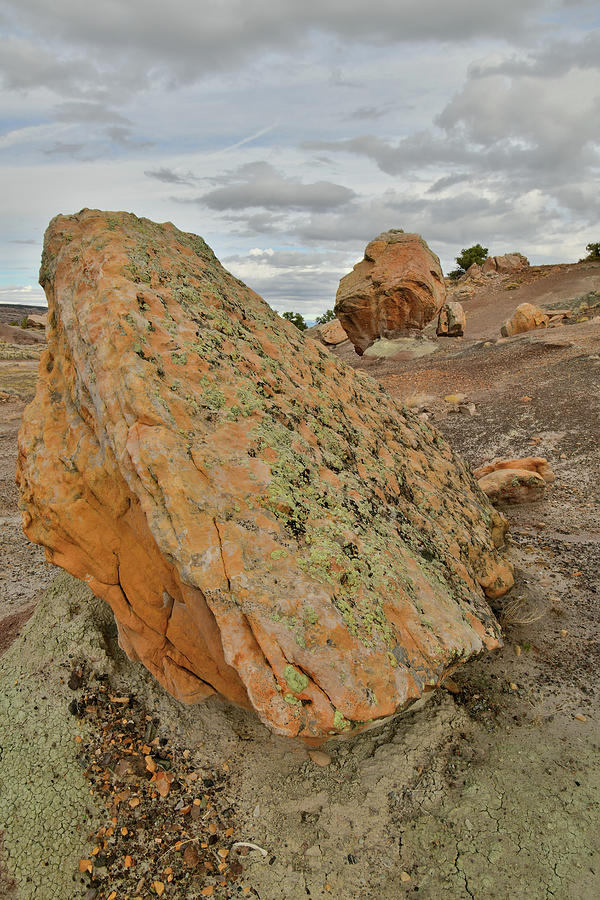 Colorful Boulders in Bentonite Site #1 Photograph by Ray Mathis
