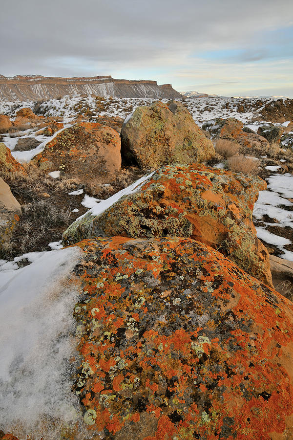 Colorful Boulders of the Book Cliffs #1 Photograph by Ray Mathis