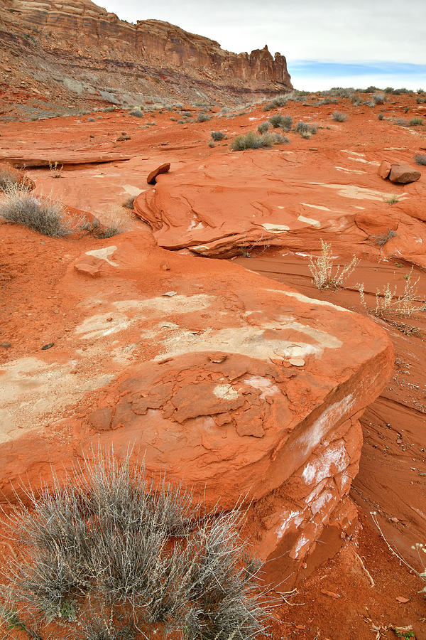 Colorful Desert near Moab Utah #1 Photograph by Ray Mathis