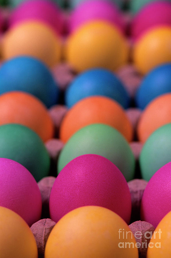 Colorful Easter Eggs Photograph