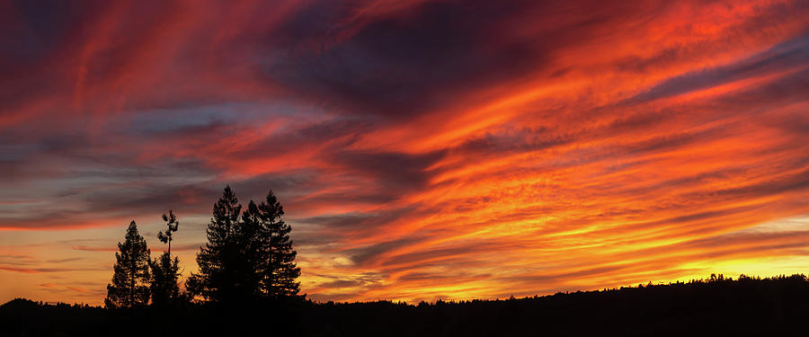 Colorful Skies ii Photograph by Shelby Erickson