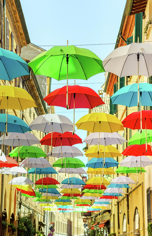 colorful Umbrellas #1 Photograph by Vivida Photo PC
