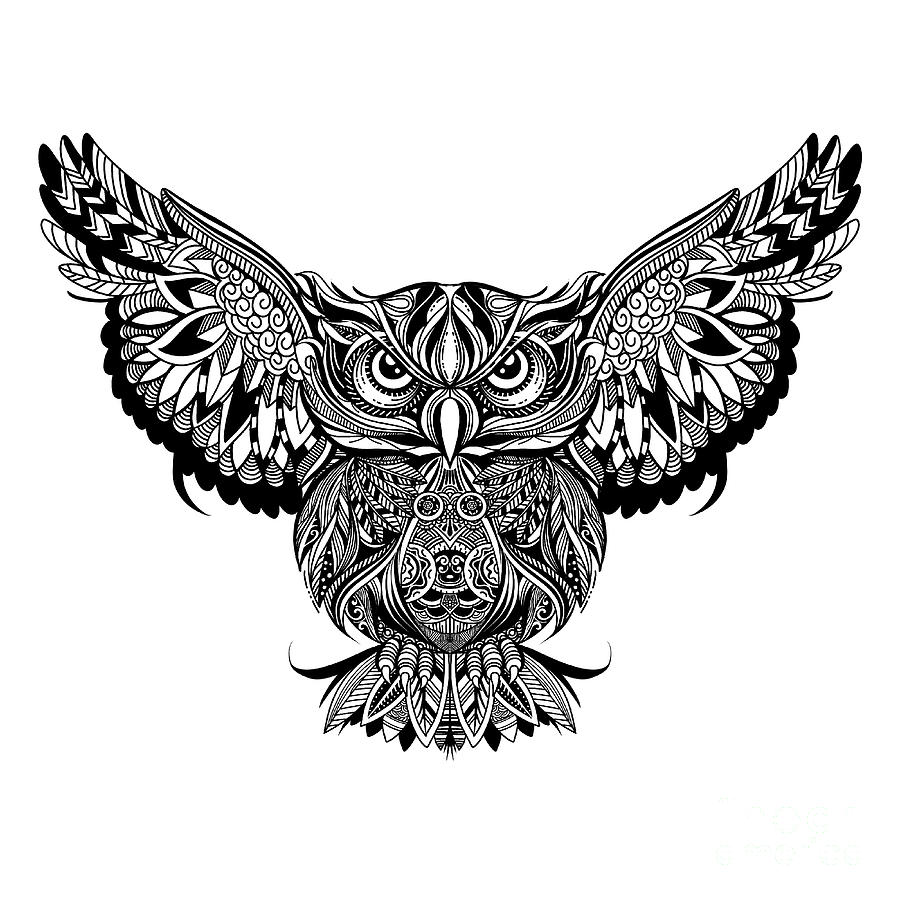Coloring Page. Coloring Book. Colouring picture with OWL drawn i by Pakpong  Pongatichat