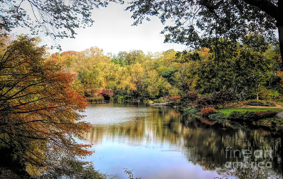 Colors of Fall NYC  #1 Photograph by Chuck Kuhn
