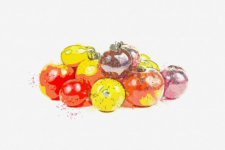 Colors of Tomatoes watercolor by Ahmet Asar #1 Painting by Celestial Images