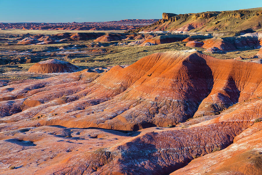 Colourful Badlands, Petrified Forest National Park #1 Photograph by Juan Carlos Munoz / Naturepl.com Colourful Badlands, Petrified Forest National Park #1 Photograph by Juan Carlos Munoz / Naturepl.com