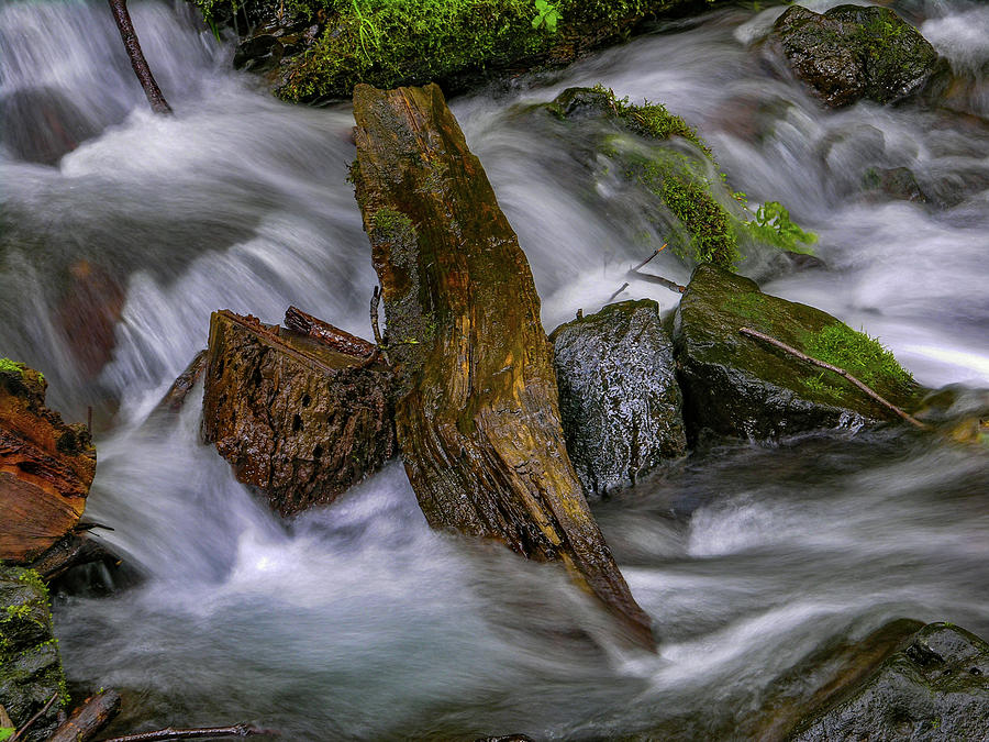 Columbia Gorge Creek Photograph