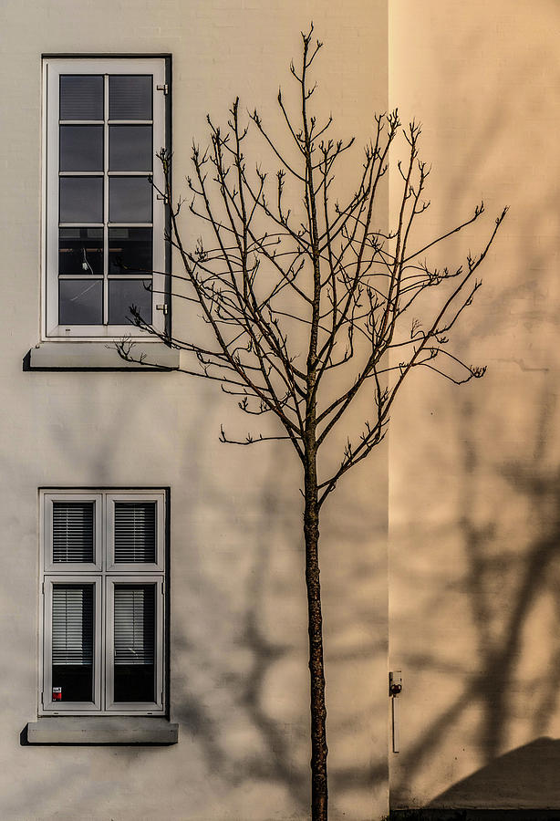 Come To Your Window by Odd Jeppesen Come To Your Window by Odd Jeppesen