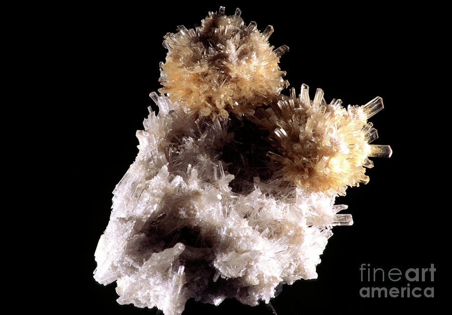 Common Natural Form Of Anhydrite(calcium Sulphate) #1 Photograph by Geoff Tompkinson/science Photo Library