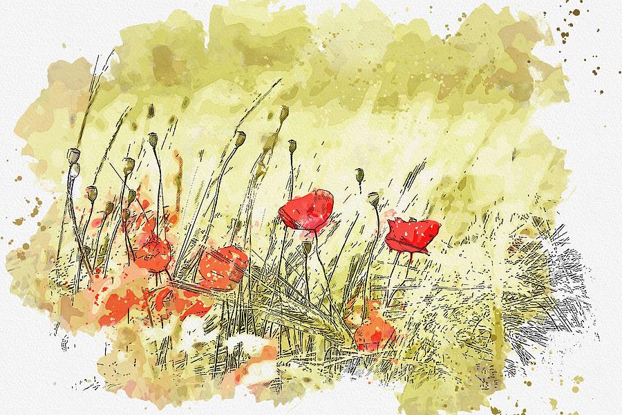 Common Poppies -  watercolor by Ahmet Asar #1 Painting by Celestial Images