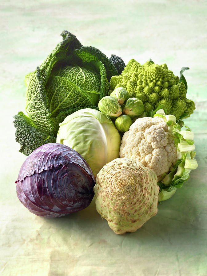 Composition De Choux Assorted Cabbages Photograph by Studio ...