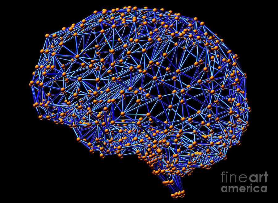 Computer Artwork Of A Wire-frame Model Of A Brain #1 Photograph by Alfred Pasieka/science Photo Library