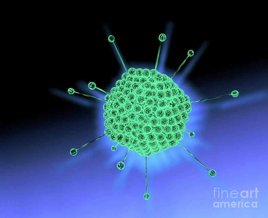 Computer Artwork Of An Adenovirus #1 Photograph by Alfred Pasieka/science Photo Library