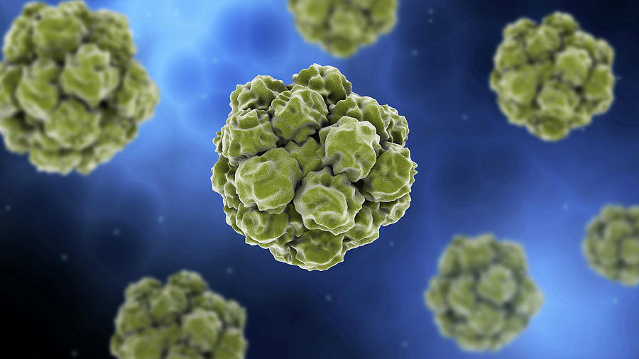 Conceptual Image Of The Norovirus #1 Photograph by Stocktrek Images
