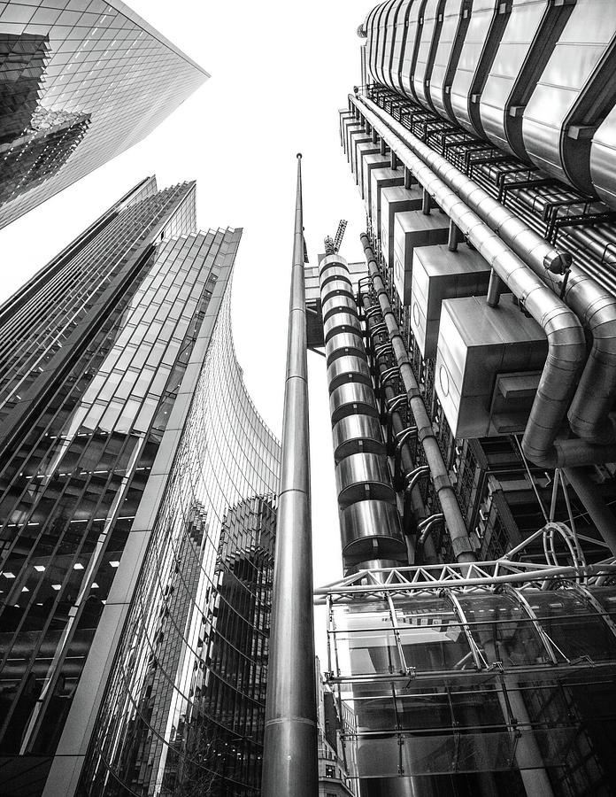 Concrete Jungle Photograph By Martin Newman