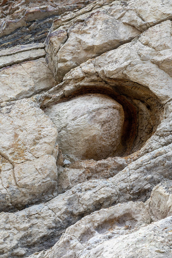Concretion Of Sand And Iron On Dinosaur Ridge #1 Photograph by Jim West/science Photo Library