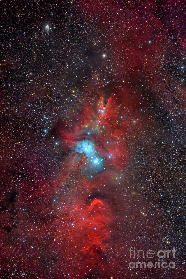 Cone Nebula And Christmas Tree Cluster #1 Photograph by Miguel Claro/science Photo Library