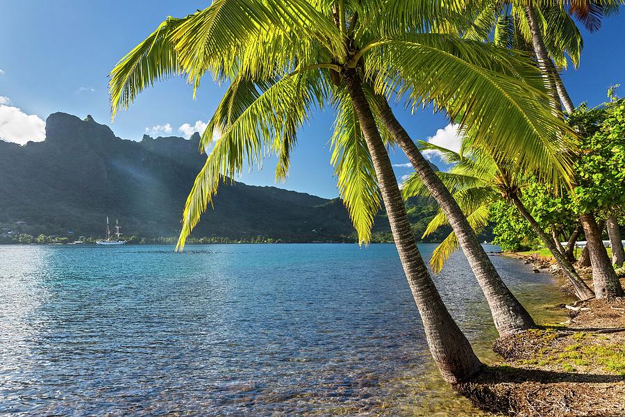 Cook's Bay In Moorea #1 Digital Art by Reinhard Schmid - Fine Art America