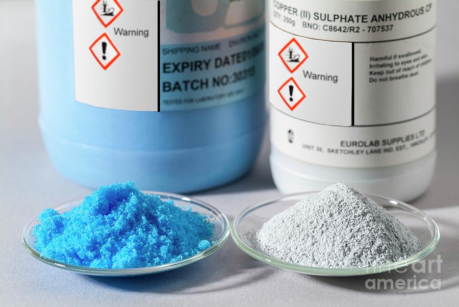 Copper (ii) Sulphate #1 Photograph by Martyn F. Chillmaid/science Photo Library