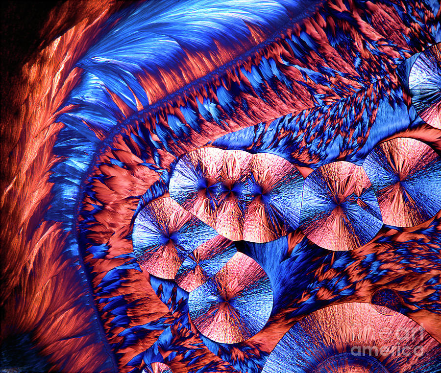 Copper Sulphate And Magnesium Sulphate #1 Photograph by Dr Keith Wheeler/science Photo Library