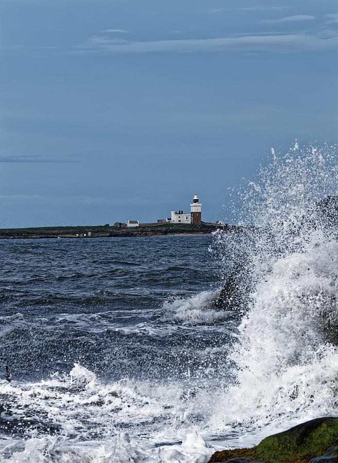 Coquet Island #1 Photograph by Jeff Townsend